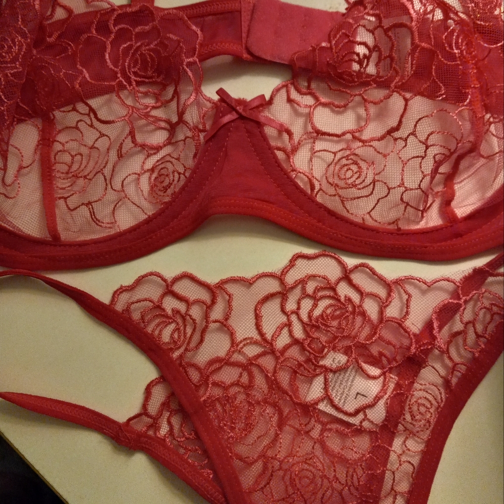 New,sheer mesh hot pink embroidered floral underwire bra & bikini g string l.